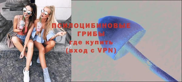 молекула духа Дмитровск