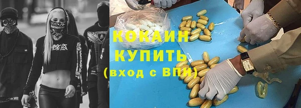 дмт Дмитров