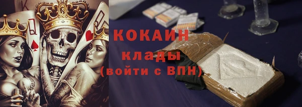 дмт Дмитров