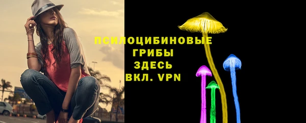 дмт Дмитров