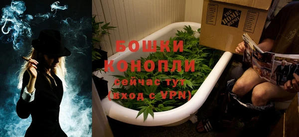 дмт Дмитров