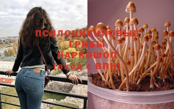 марки nbome Дмитриев