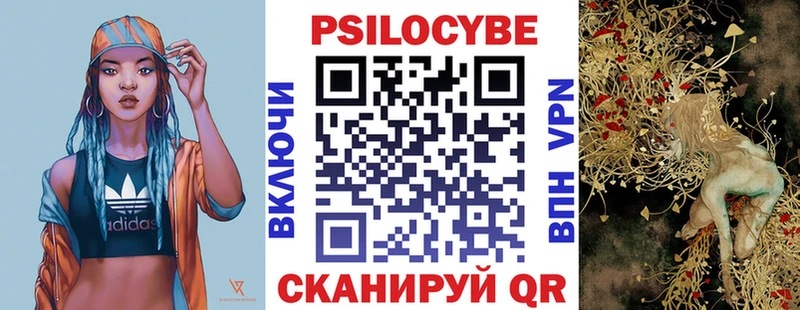 Купить где  Новоуральск  Галлюциногенные грибы Psilocybe 